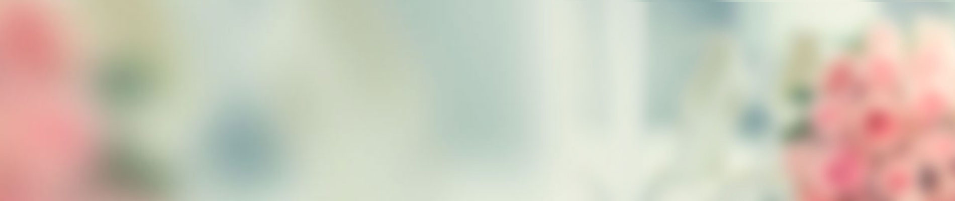 banner-home2